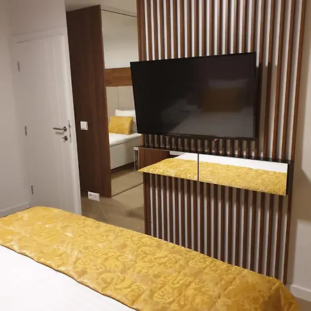 公寓 Ambijent Free Public Parking 塞拉耶佛