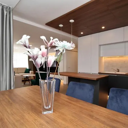 公寓 Ambijent Free Public Parking