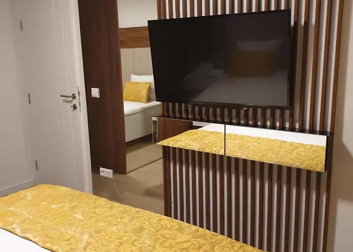 公寓 Ambijent Free Public Parking 塞拉耶佛