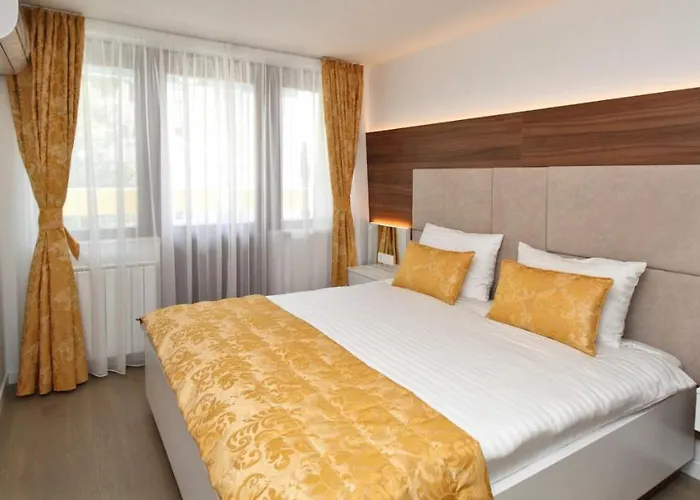 公寓 Ambijent Free Public Parking 塞拉耶佛