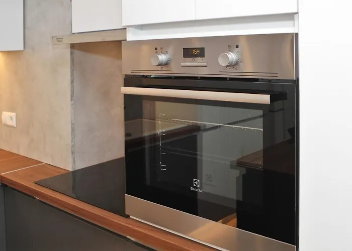 Ambijent Free Public Parking 公寓 塞拉耶佛