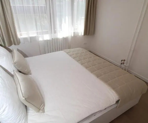 公寓 Ambijent Free Public Parking 塞拉耶佛